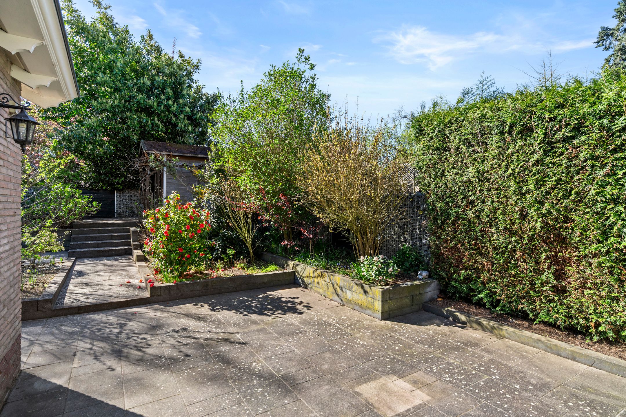 Photo 12 of Lijsterbeslaan 20