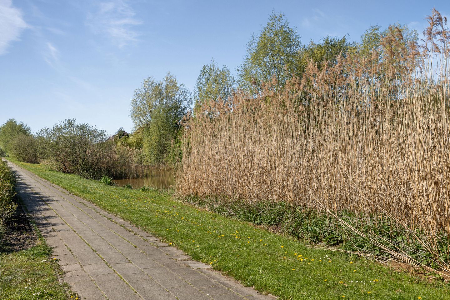 Photo 49 of Waterbies 67