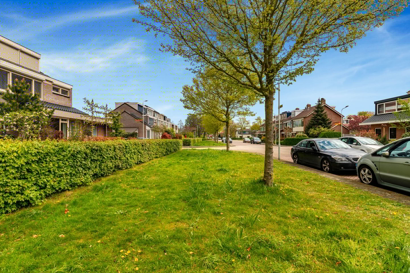 Foto 50 van Eerste Groenelaan 44