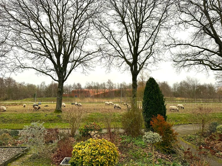 Statenlaan 61