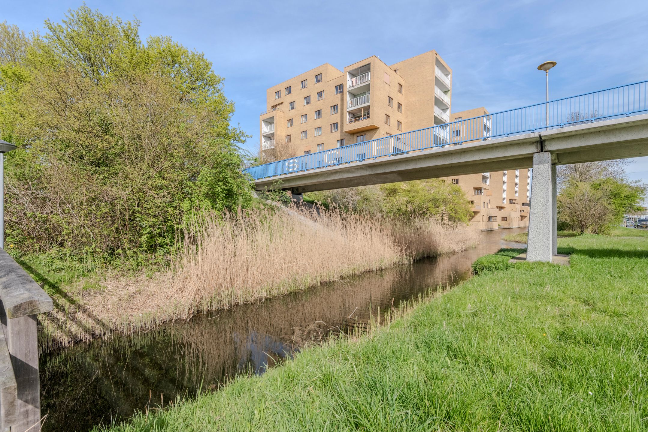 Foto 39 van Bremenstraat 231