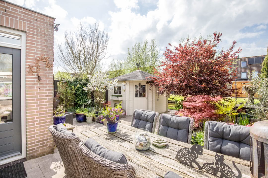 Photo 31 of Klaproos 17