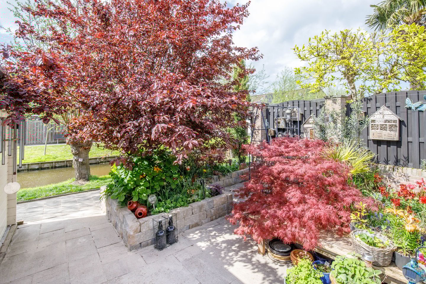 Photo 34 of Klaproos 17