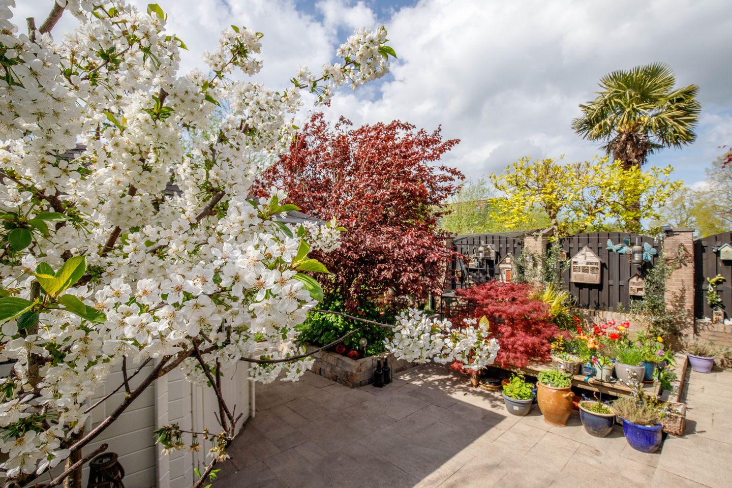 Photo 35 of Klaproos 17