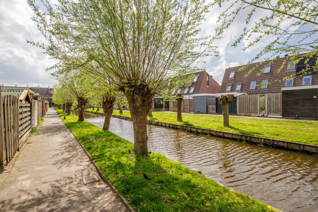 Photo 37 of Klaproos 17