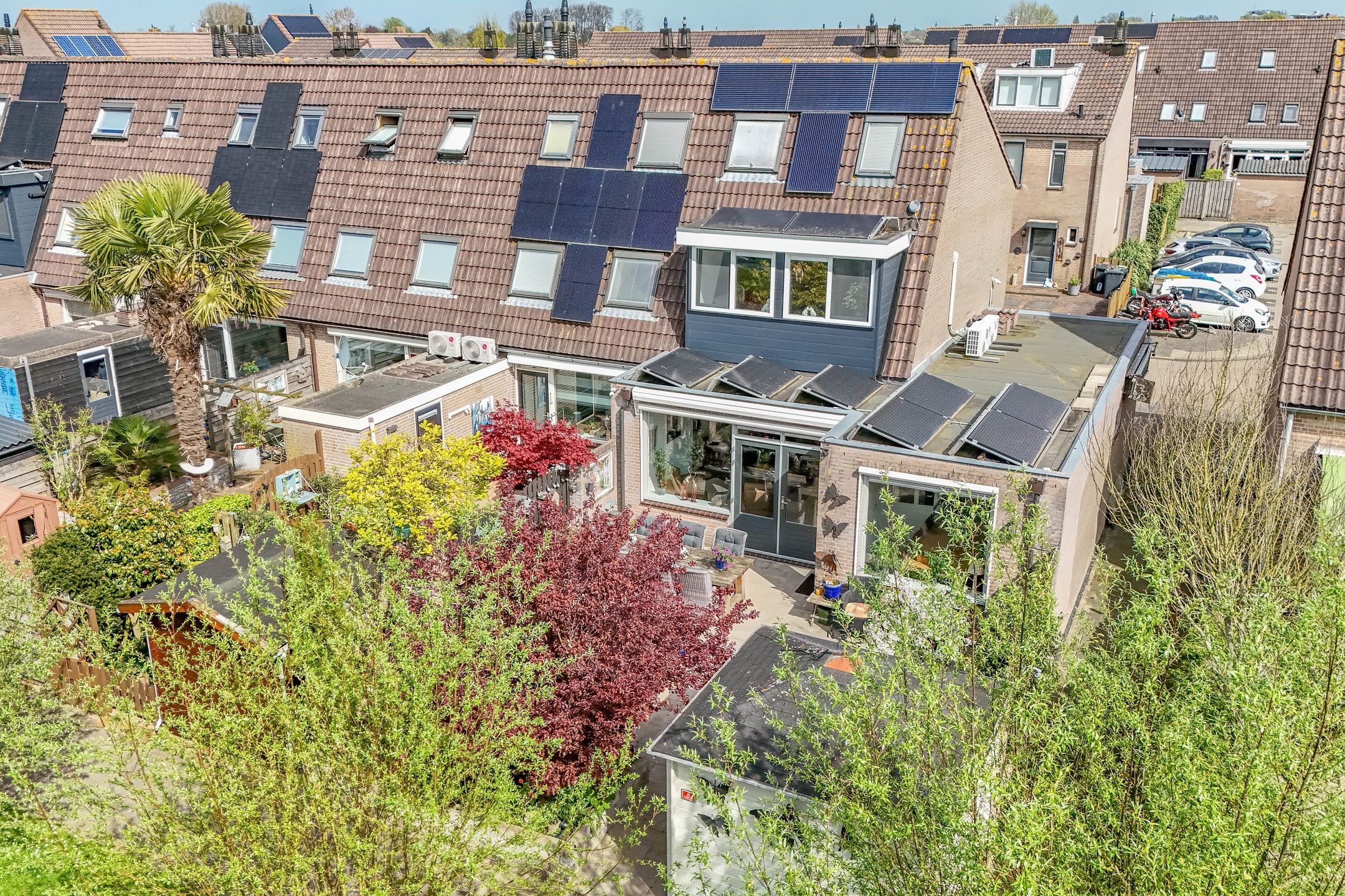 Photo 39 of Klaproos 17