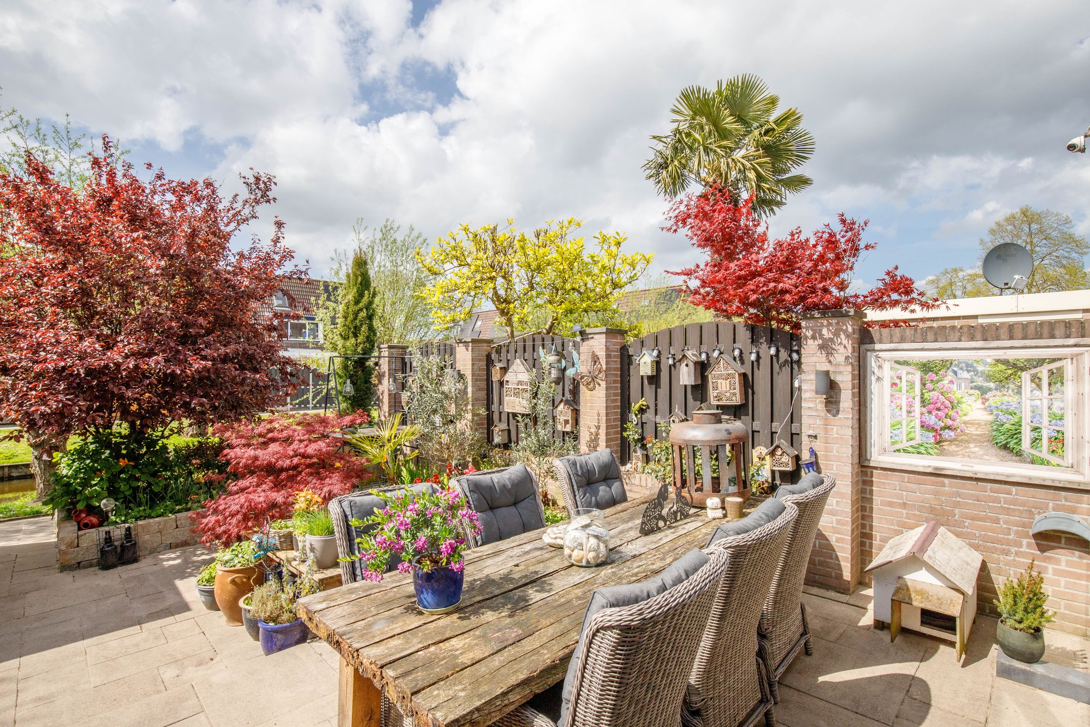 Photo 30 of Klaproos 17