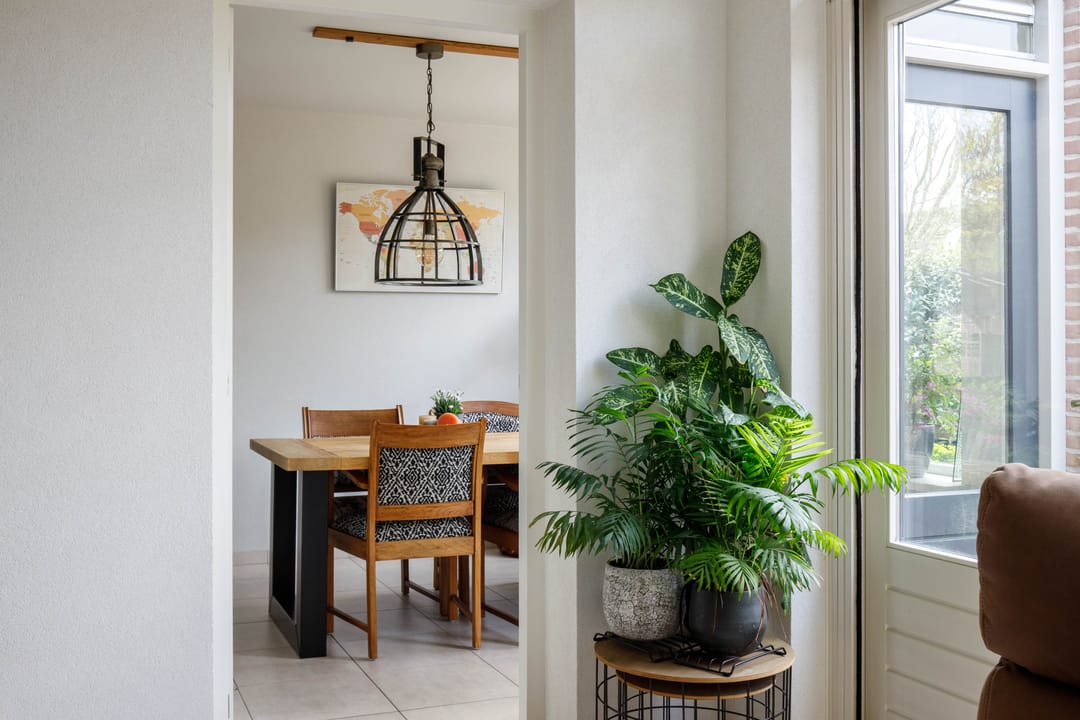 Photo 13 of Klaproos 17