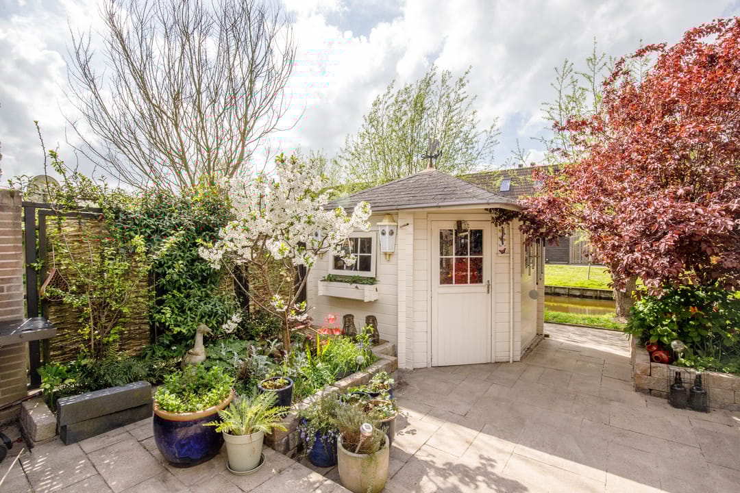 Photo 32 of Klaproos 17