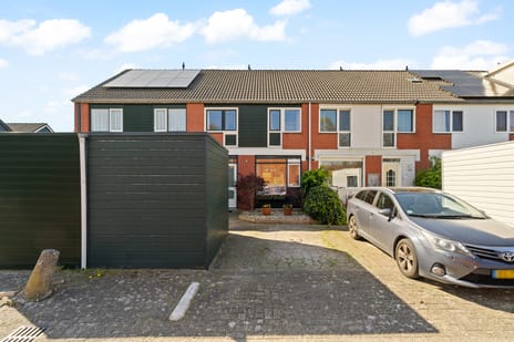 undefined main image