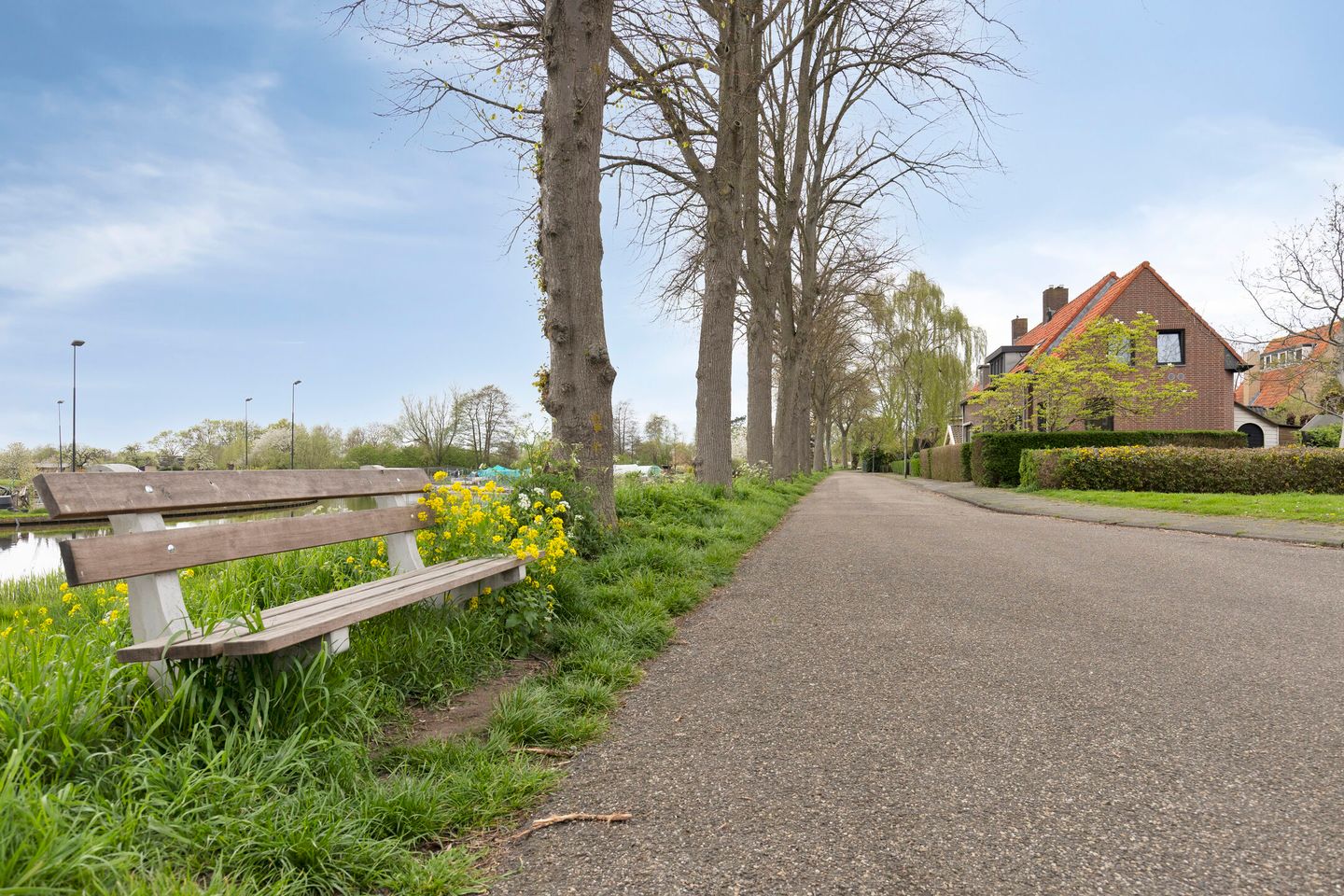 Foto 50 van Gruttostraat 3