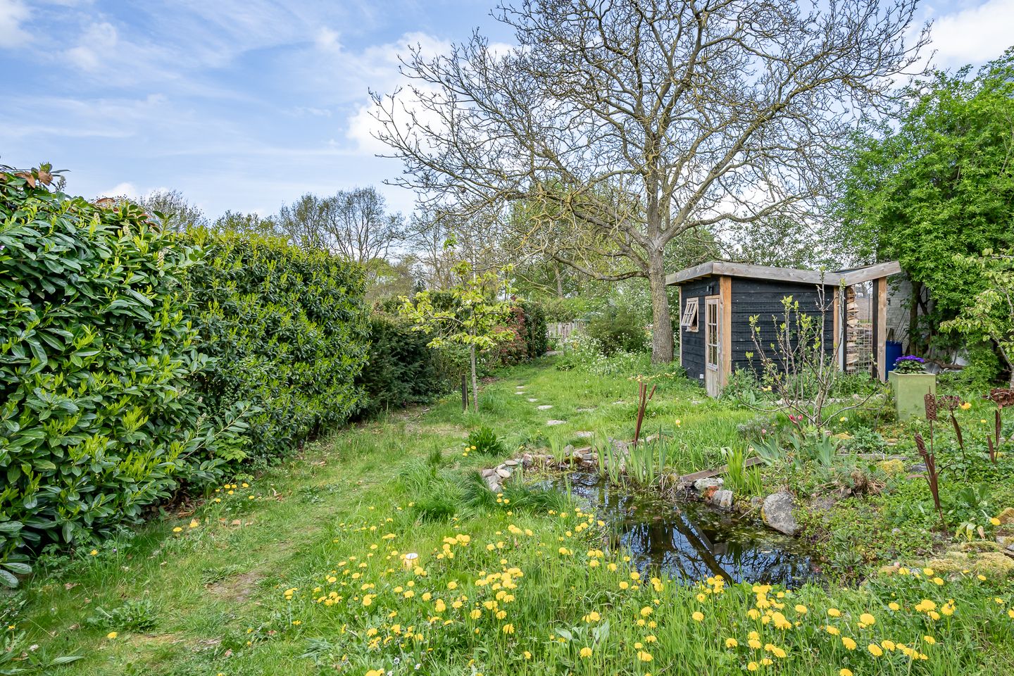 Foto 4 van Maasdijk 48