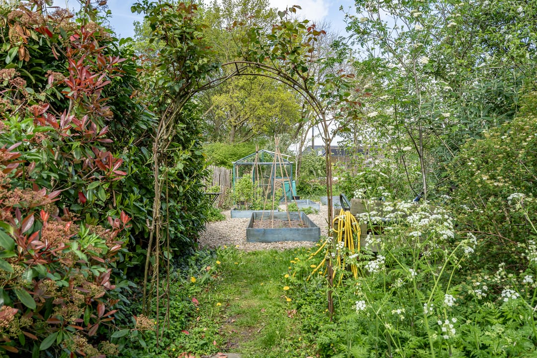 Foto 8 van Maasdijk 48