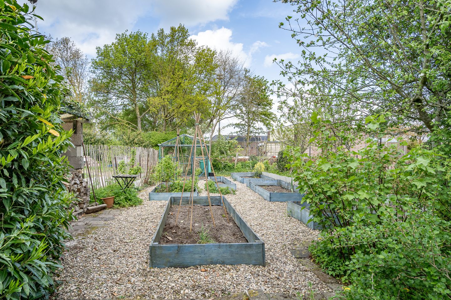 Foto 10 van Maasdijk 48