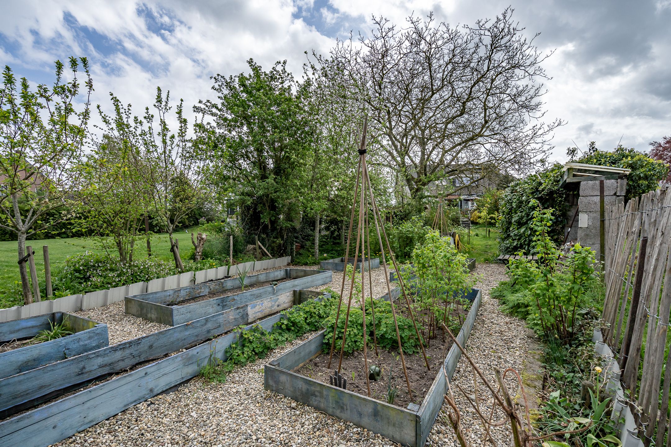 Foto 12 van Maasdijk 48