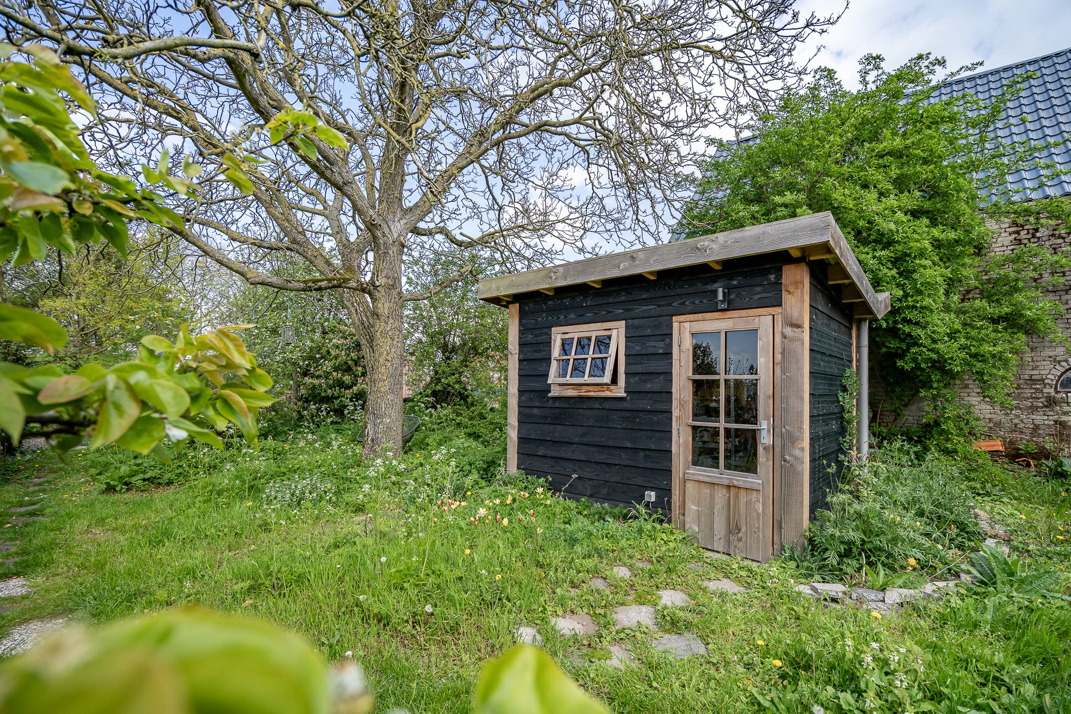 Foto 6 van Maasdijk 48