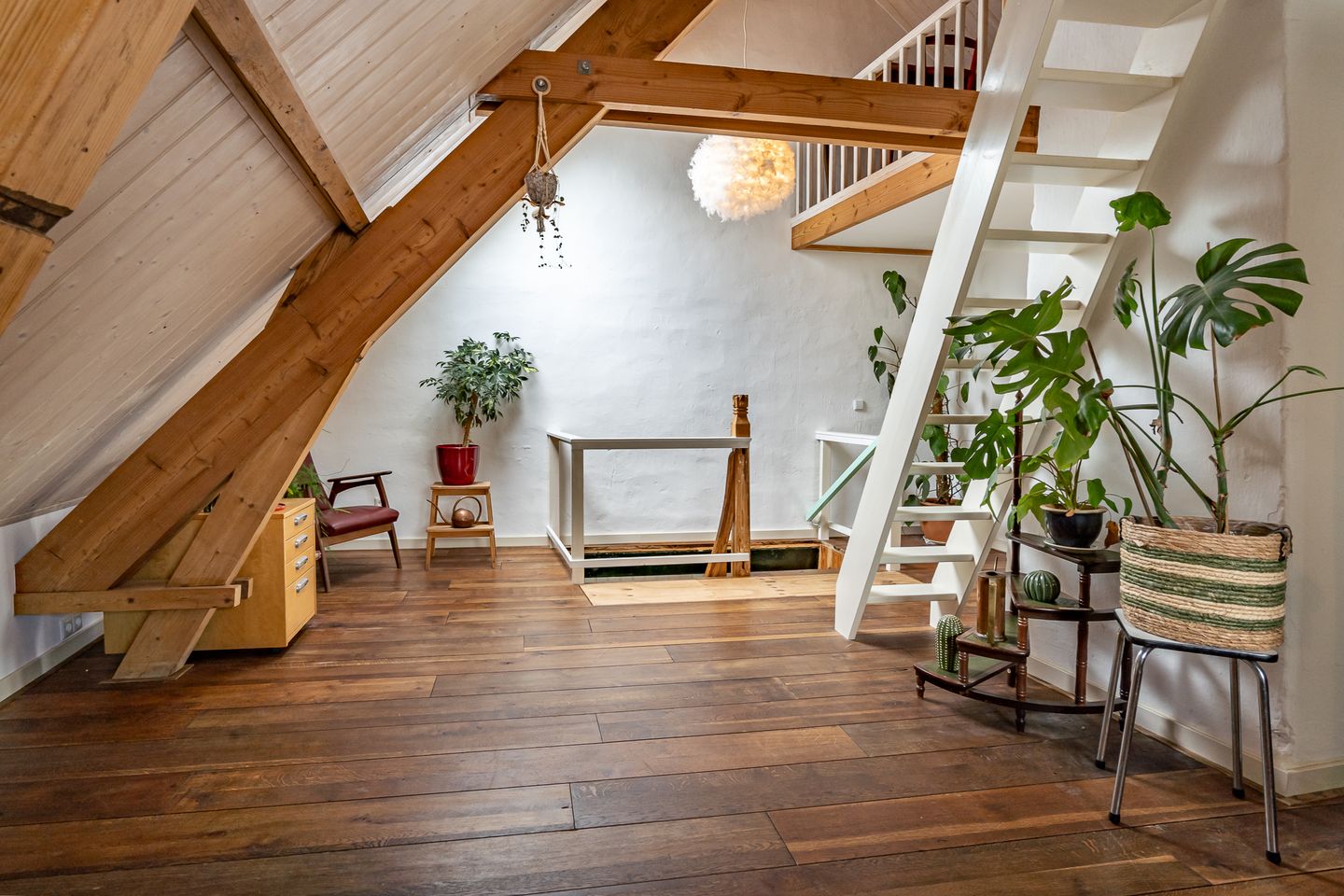 Foto 49 van Maasdijk 48