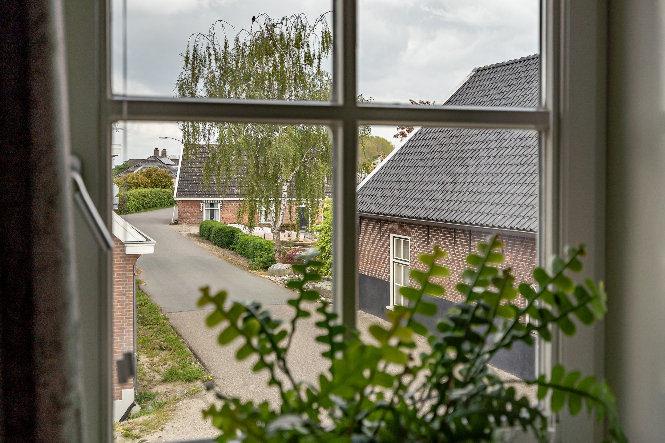 Foto 48 van Maasdijk 48