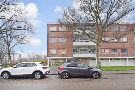 Stellendamstraat thumbnail