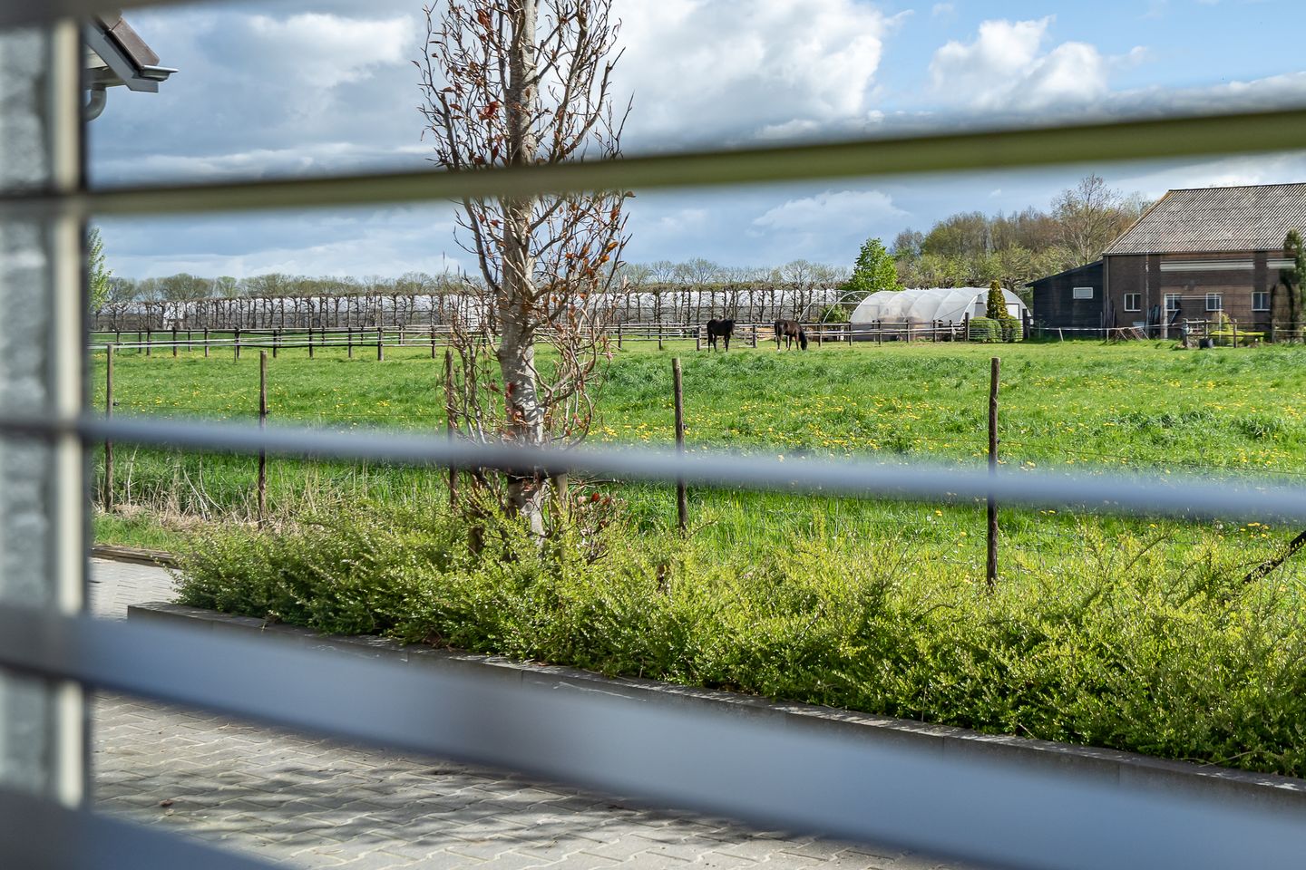 Foto 35 van Wordragensestraat 42