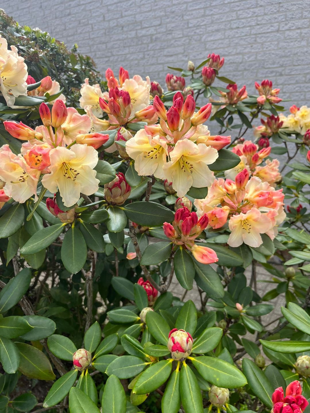 Foto 41 van Loirelaan 6