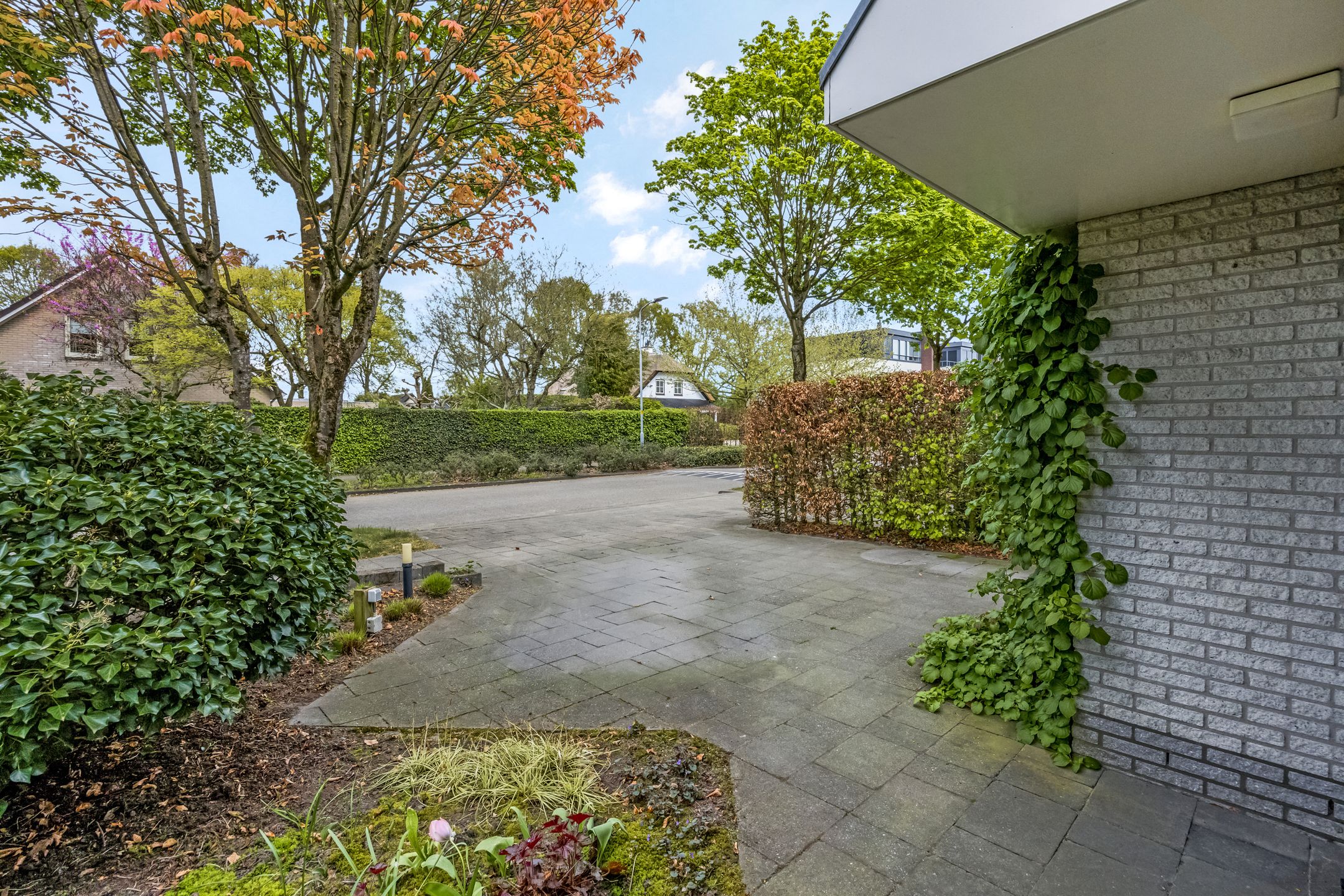 Foto 54 van Veenlanden 44