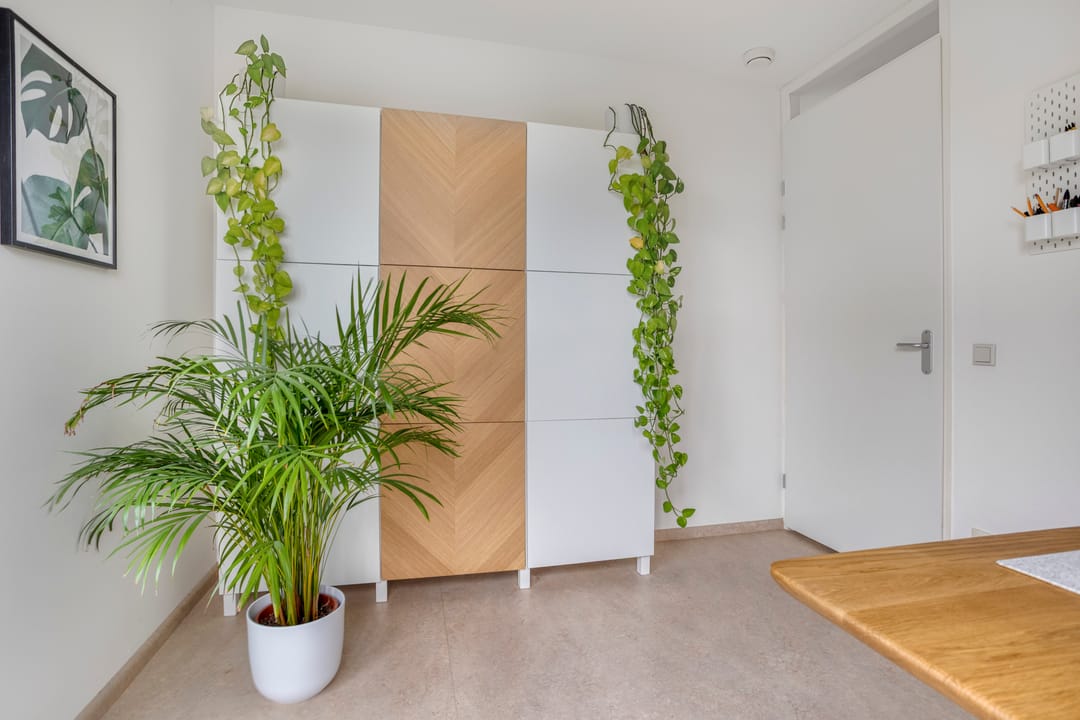 Foto 46 van Sidoniastraat 24