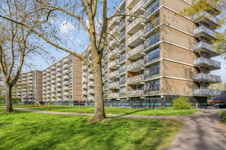 Foto 2 van Cruquiuslaan 31