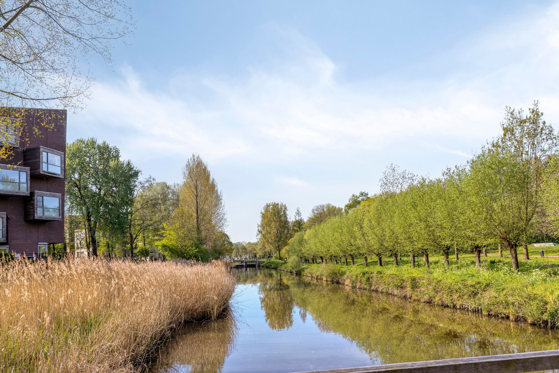 Foto 36 van Varèsepark 36