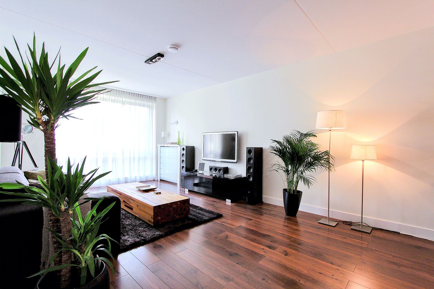 Foto 5 van Veilingstraat 5