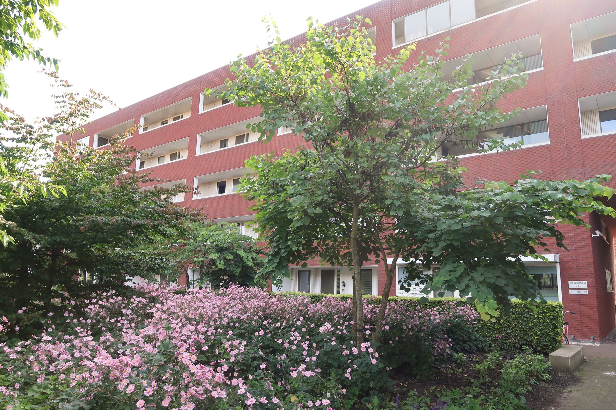 Foto 15 van Veilingstraat 5