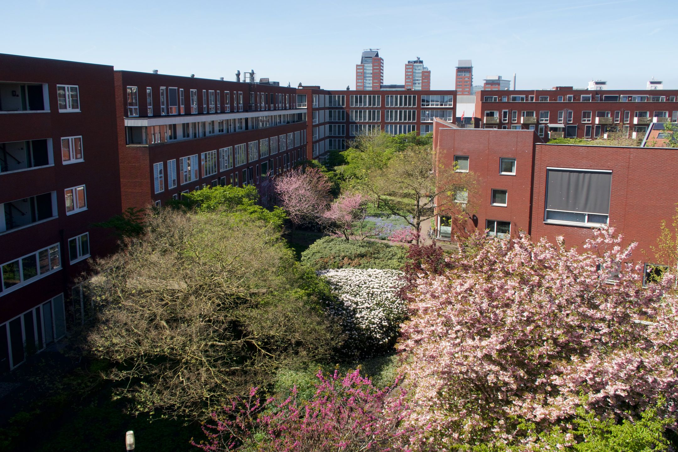 Foto 21 van Veilingstraat 5