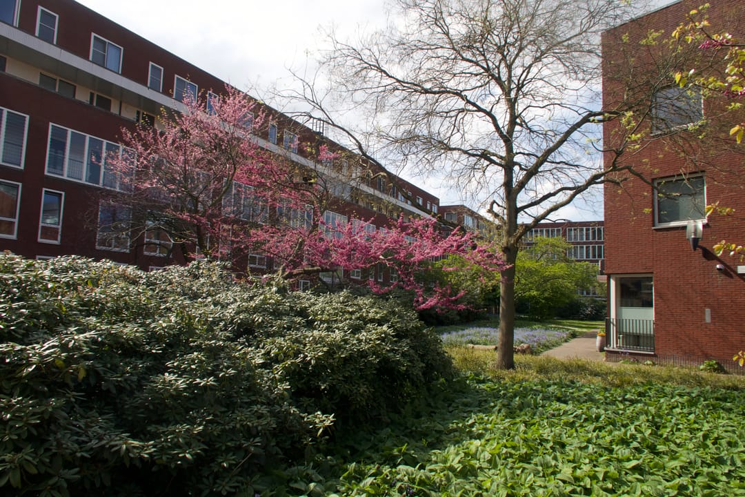 Foto 22 van Veilingstraat 5