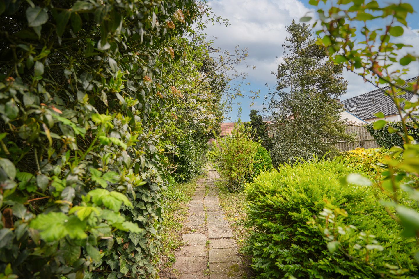 Foto 50 van Dorpsstraat 108