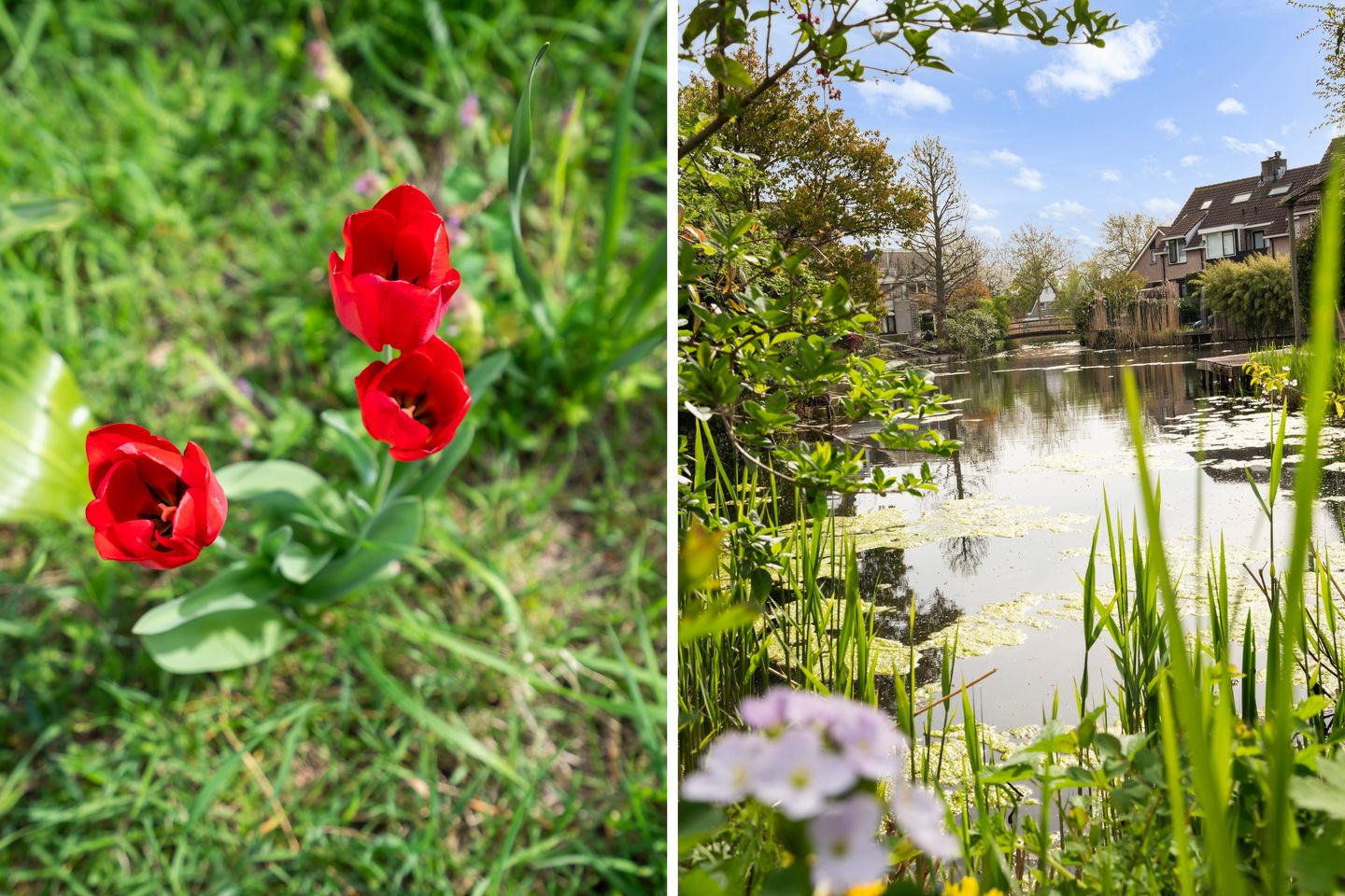 Foto 59 van Stellingmolen 3