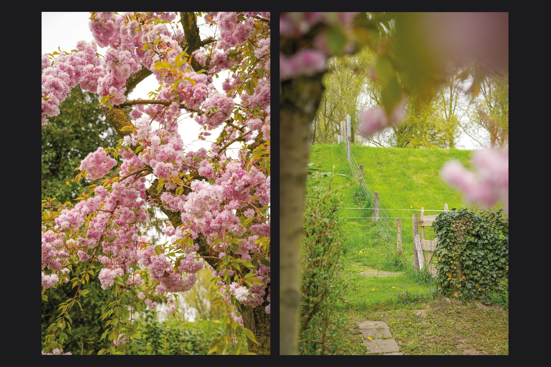 Foto 39 van Dorpsstraat 108