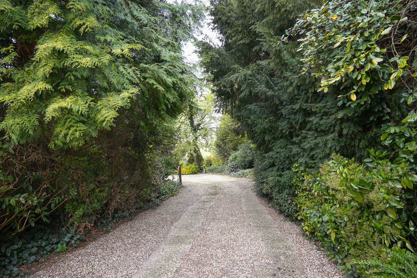 Foto 44 van Dorpsstraat 108