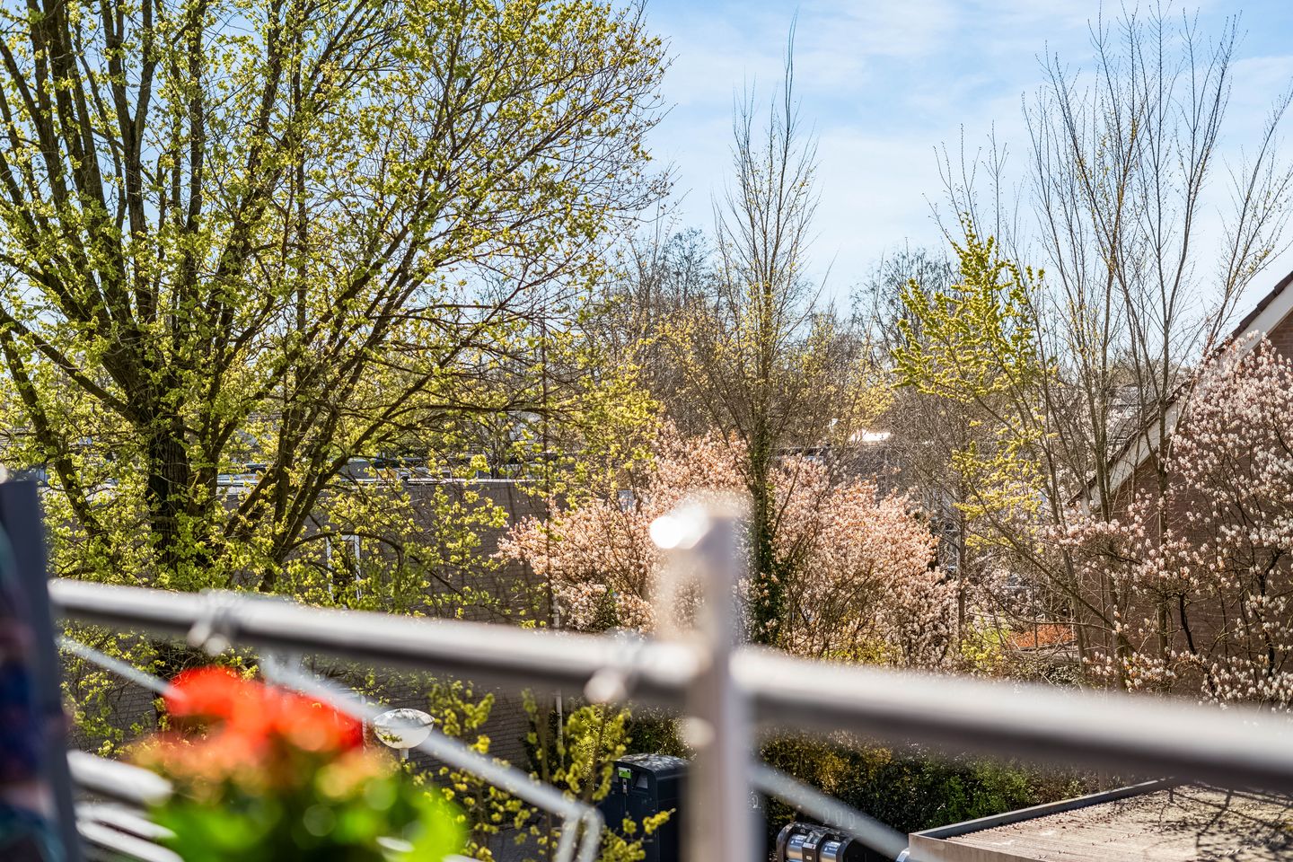 Foto 14 van Zaaier 152