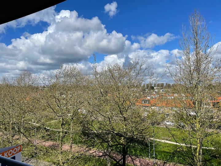 Foto 4 van Burgemeester Pabstlaan 8-43