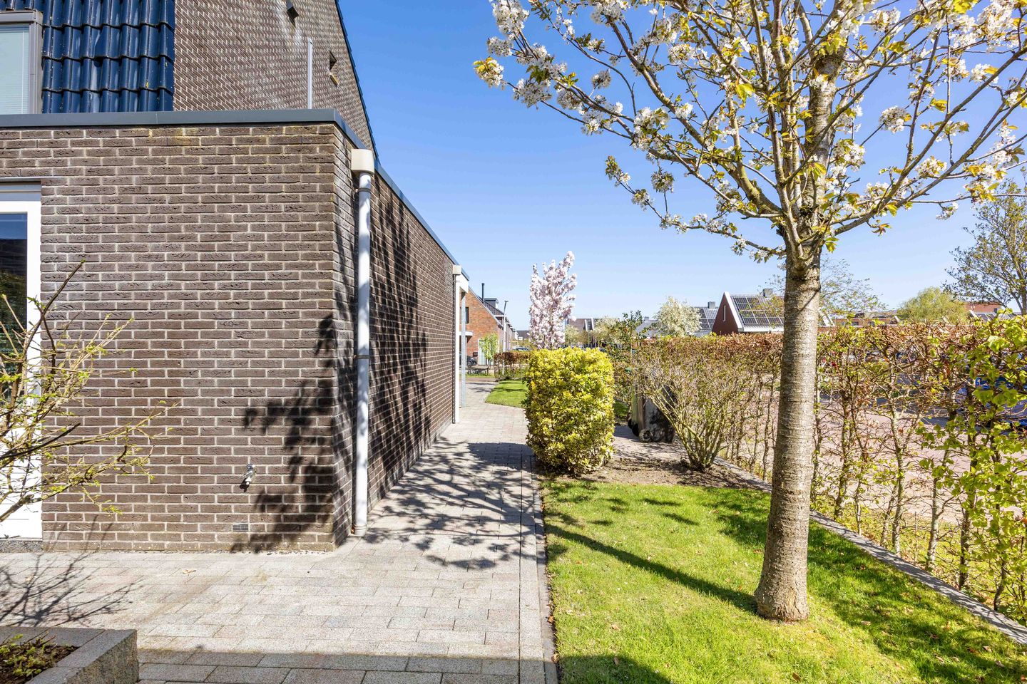 Foto 44 van Castorstraat 11