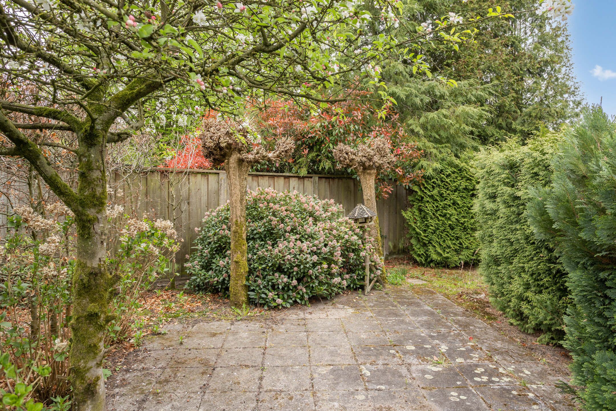 Foto 24 van Dorpsstraat 9