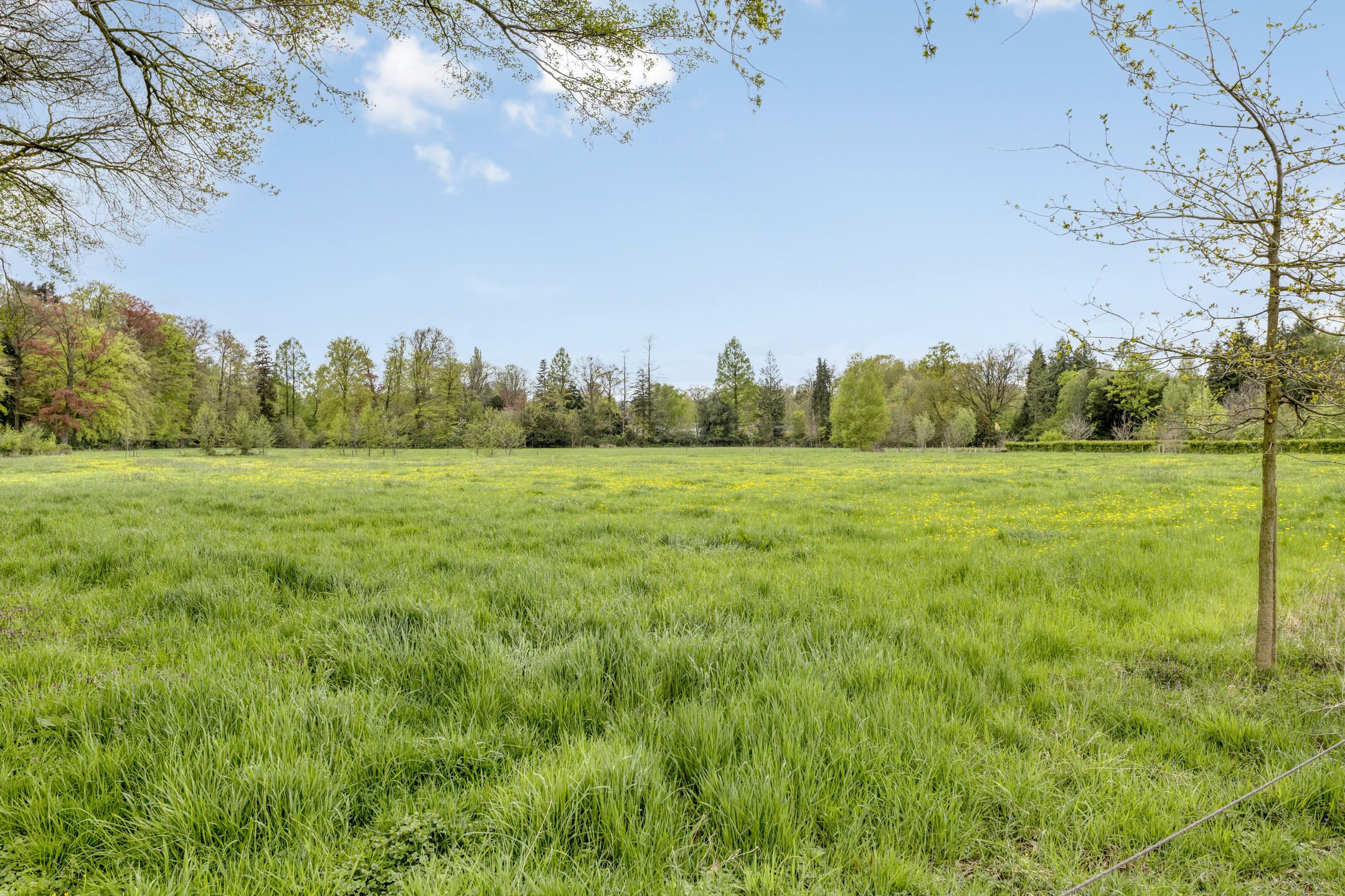 Foto 27 van Dorpsstraat 9