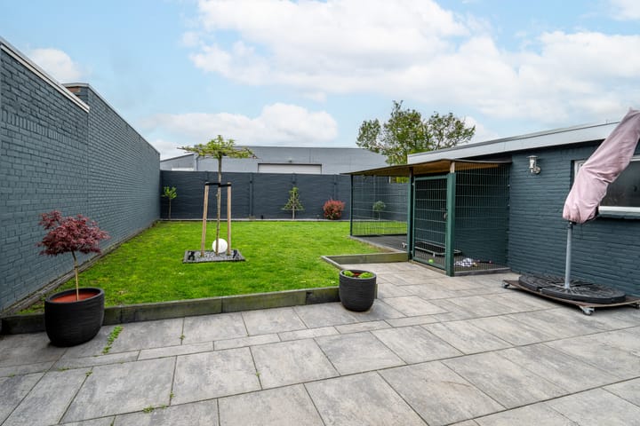 Photo 3 of Ganzeweide 169