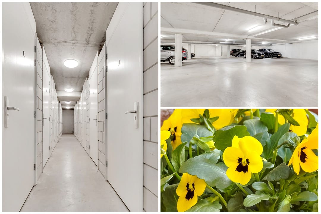 Foto 26 van Fornheselaan 2-D