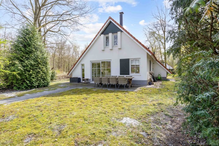 Photo 2 of De Rug 3-216