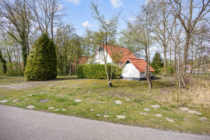 Photo 4 of De Rug 3-216