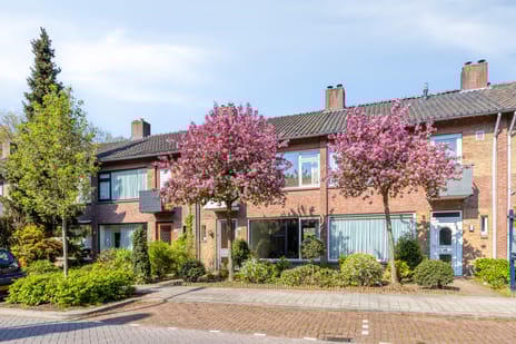 Beneluxlaan thumbnail