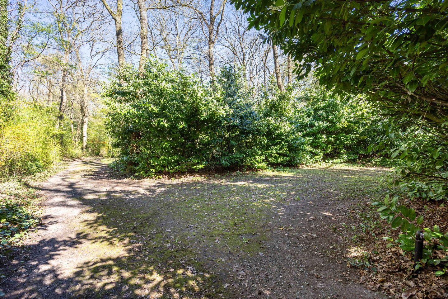 Foto 5 van Langeloërweg 34