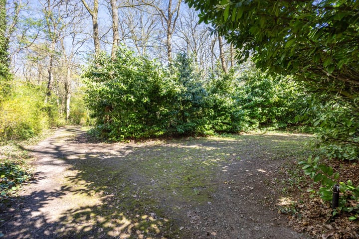 Foto 5 van Langeloërweg 34