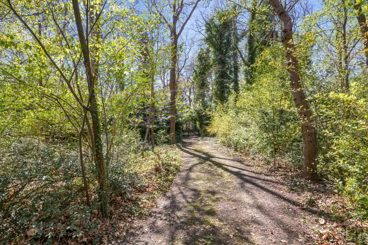 Foto 4 van Langeloërweg 34